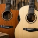Cedar Top Versus Spruce Top