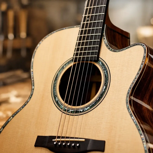 What a Master Grade Acoustic Guitar Review Reveals