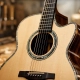 What a Master Grade Acoustic Guitar Review Reveals