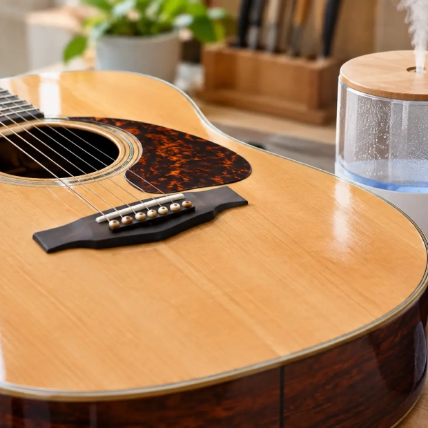 Preventing Guitar Top Cracks With Humidity